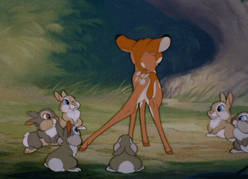 ምሰሶ-ዳንሰኛ-bambi-gif-2