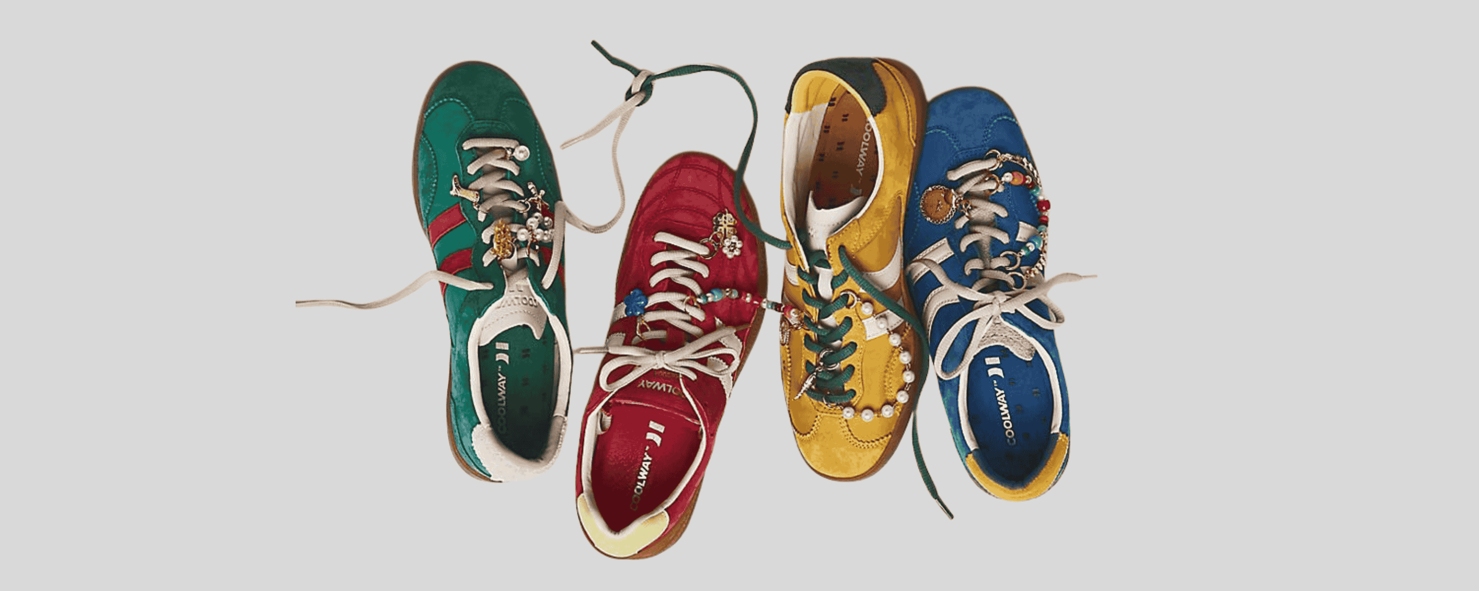 The Sneakers Market Outlook